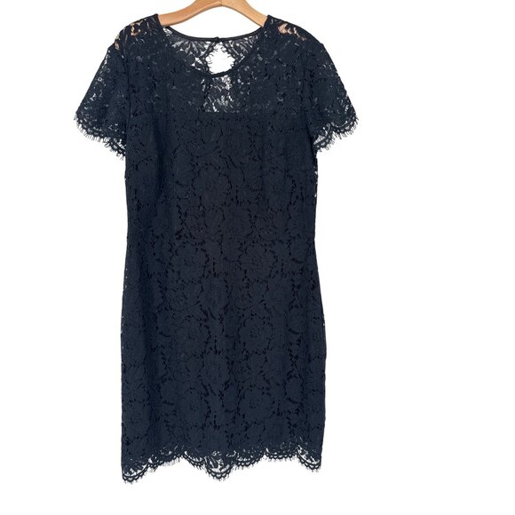 Banana Republic Black Lace  Dress Size 14 Short Sleeve Lined Elegant Womens - Picture 2 of 6